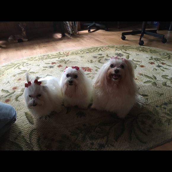 Meet your Posher, Cathy - Picture 2 of 6